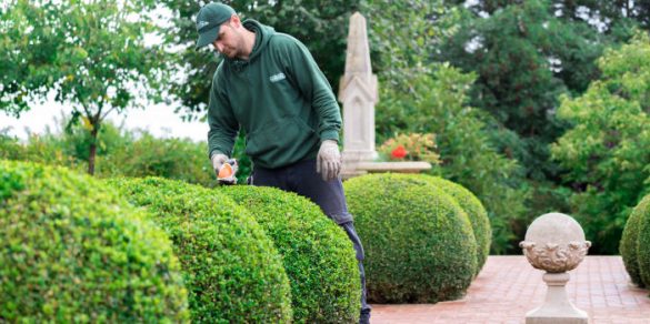 gardening trends 2017