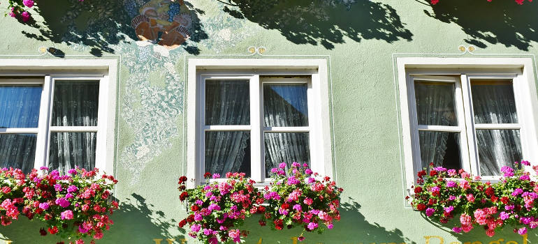 window-boxes-with-flowers