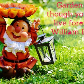 gardening quote