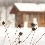 How to Prepare a House for Winter