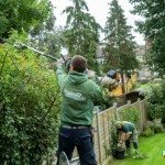 Fantastic Gardeners - 2015 in Garden Jobs