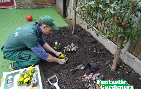 fantastic gardeners planting flowers