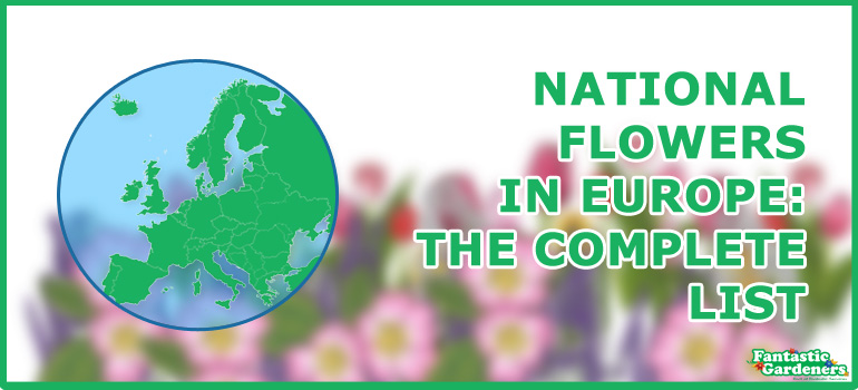 National flowers of countries in Europe