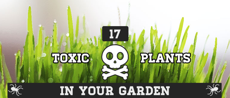 Poisonous Plants 17 Toxic Plants In Your Garden