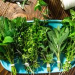 Preserving herbs