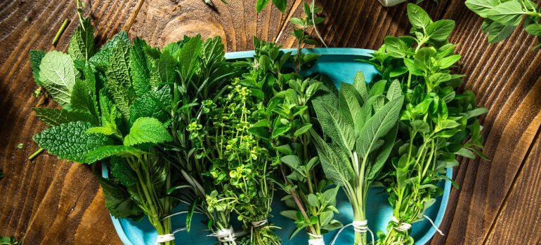 Preserving herbs