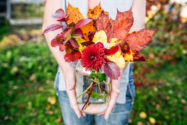 autumn blooming flowers