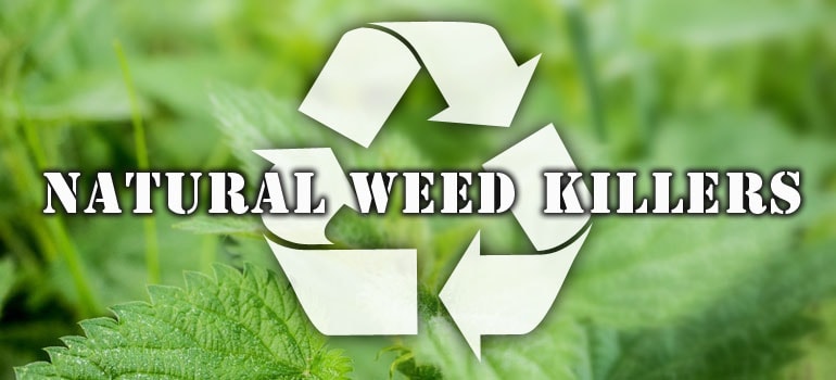 Natural Weed KIllers Banner