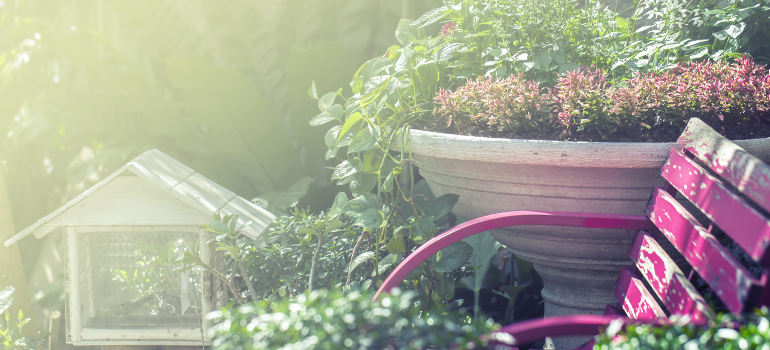 tips to create allergy-free garden