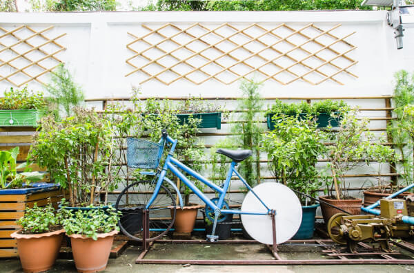 container gardening pots and bike