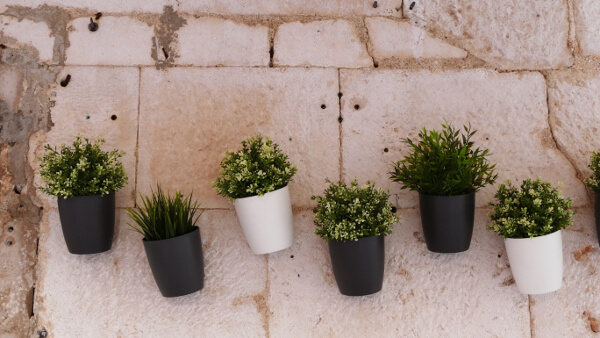 container pots on wall