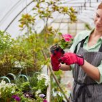 Woman tending to her greenhouse plants