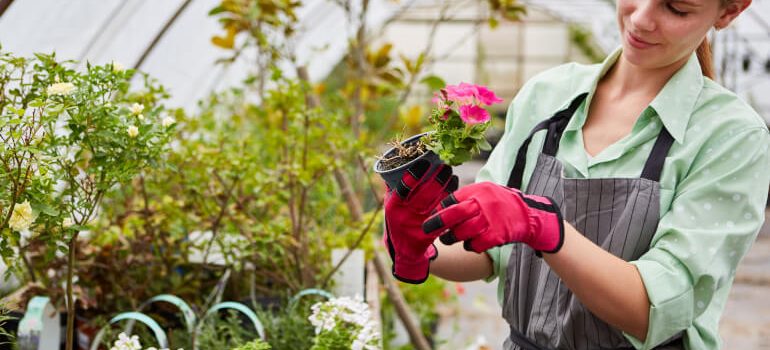 Woman tending to her greenhouse plants