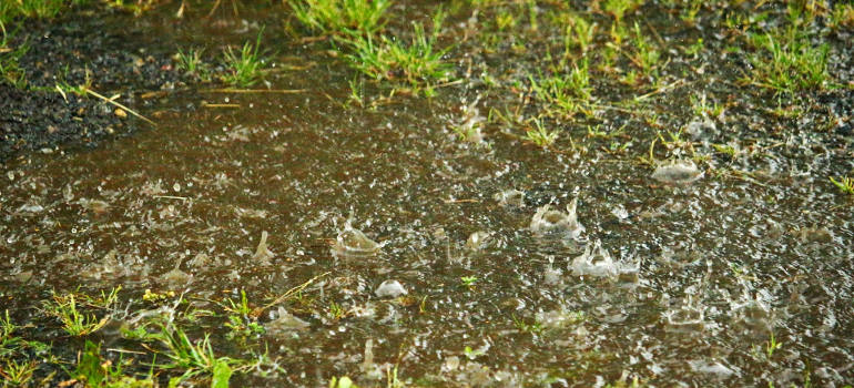 waterlogged garden