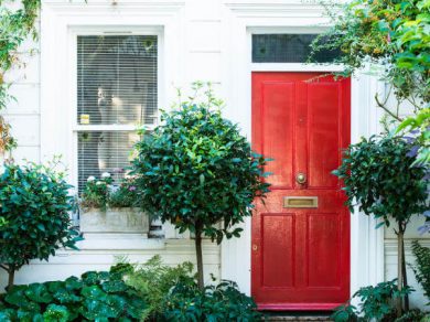 front garden basics