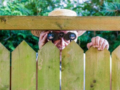 curious neighbour behind a fence