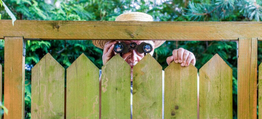 curious neighbour behind a fence