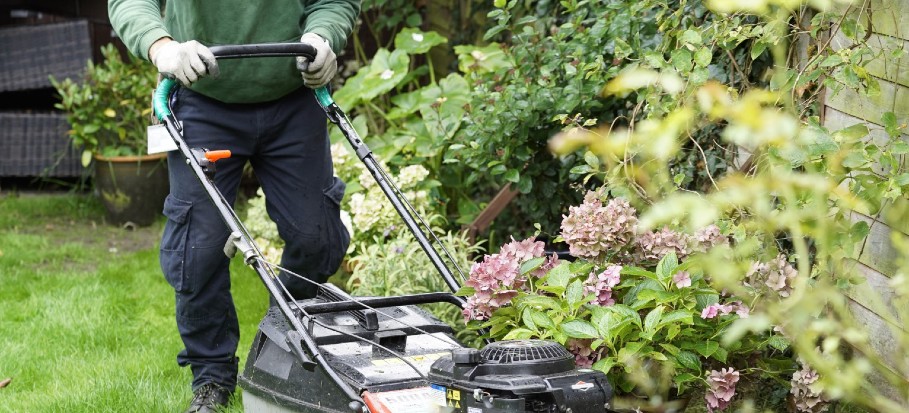 2021 Average Cost Of A Gardener With Local Prices Homeguide