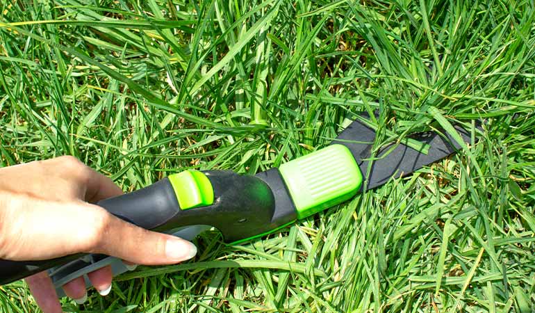 Cutting grass without a mower