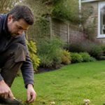 Mastering Lawn Mushroom Management: Natural and Effective Solutions Illustration representing how to get rid of mushrooms in lawn