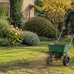 how to grow grass in garden