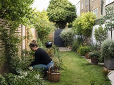 Illustration representing how to divide a long narrow garden