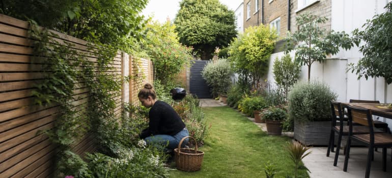 Illustration representing how to divide a long narrow garden