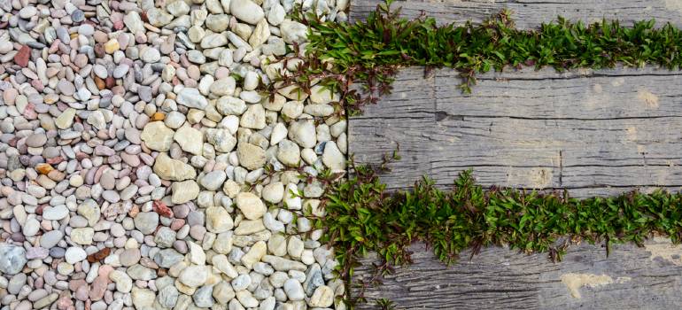 clean garden stones wil make your space look better