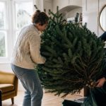 Illustration representing how to remove christmas tree without mess