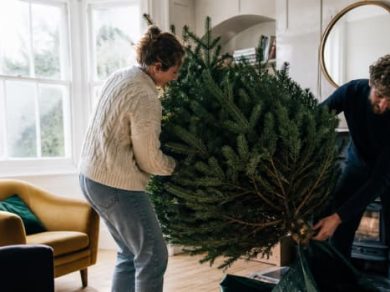 Illustration representing how to remove christmas tree without mess