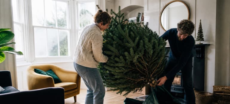 Illustration representing how to remove christmas tree without mess