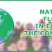 National flowers of countries in Europe